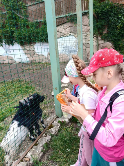 Экскурсия в ряжский зоопарк.